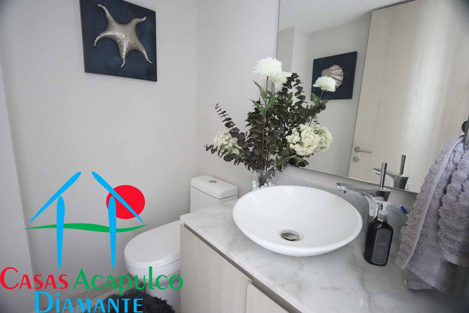 Velera D PH - Baño de visitas 1